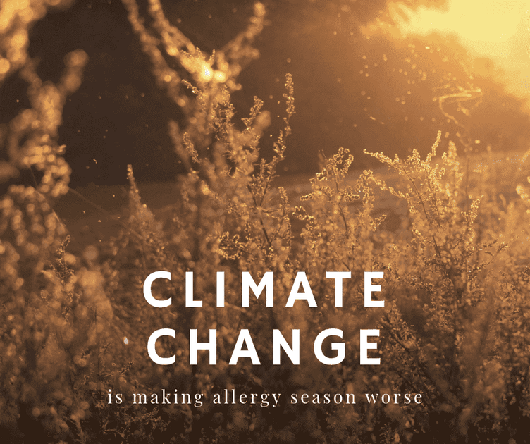 Climate change is making allergy season worse Thumper Massager Inc.