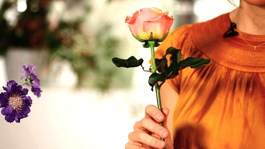 How To Make Roses Last Longer Thumper Massager Inc how-to-make-roses-last-longer-thumper-massager-inc