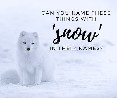 QUIZ: Can you name these things with 'snow' in their names?