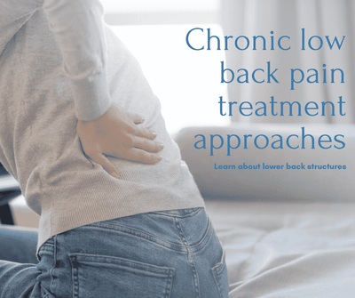Chronic low back pain treatment approaches | Learn about lower back structures