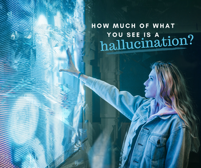 How much of what you see is a hallucination?