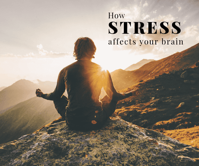 How stress affects your brain