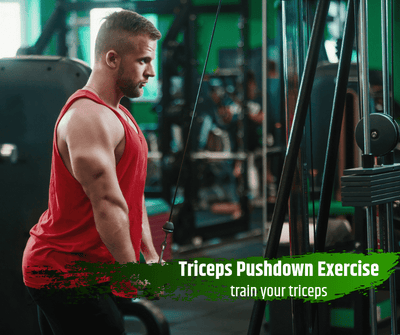 Triceps Pushdown Exercise: train your triceps