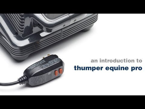 Thumper Equine Pro